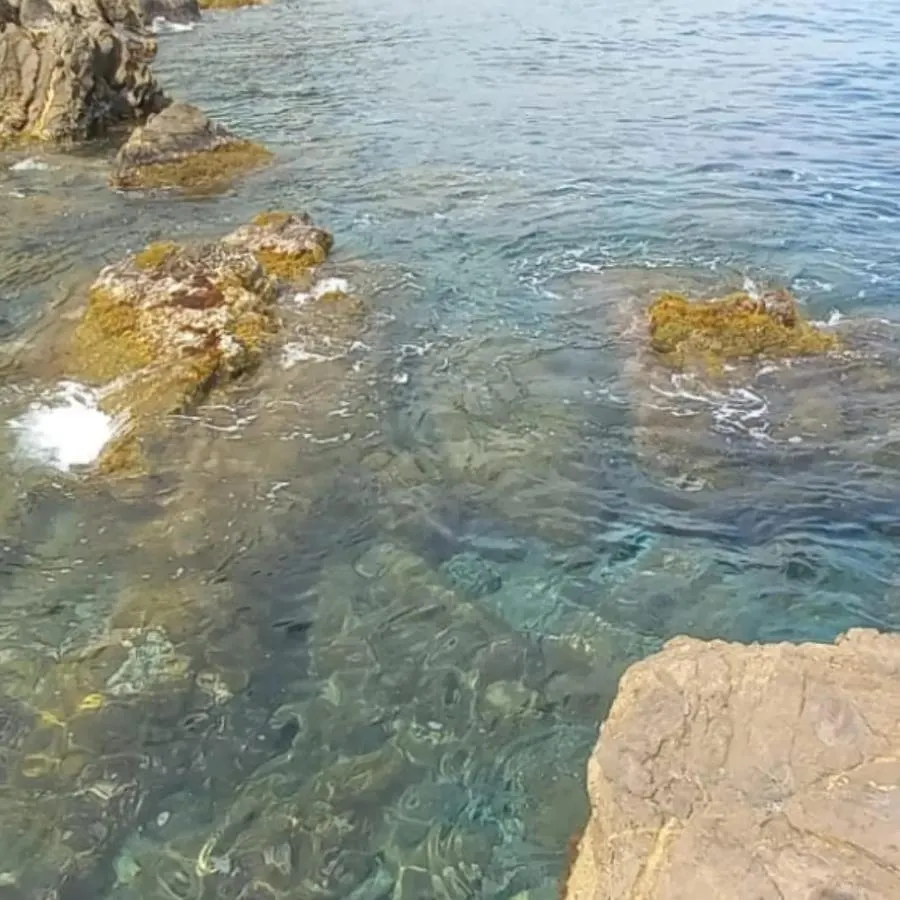 Agriturismo La Tuffatrice Imperia 0*,