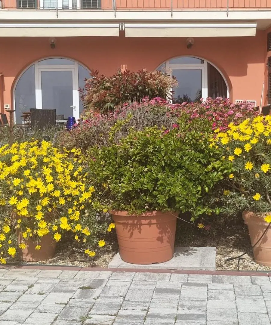 Agriturismo La Tuffatrice Imperia 0*,  Italy